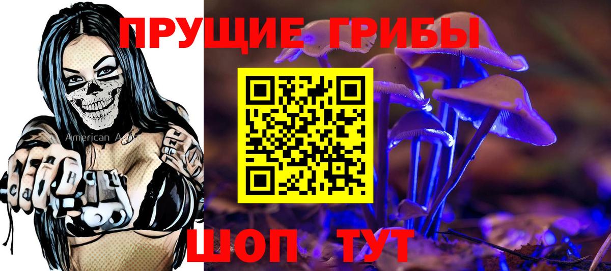 Орехово-Зуево  Псилоцибиновые грибы Psilocybine cubensis  Вход с VPN 